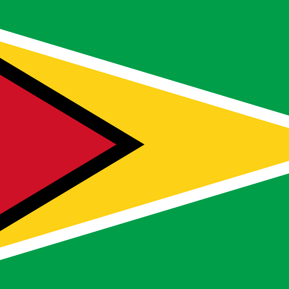 Guyana Country Flag